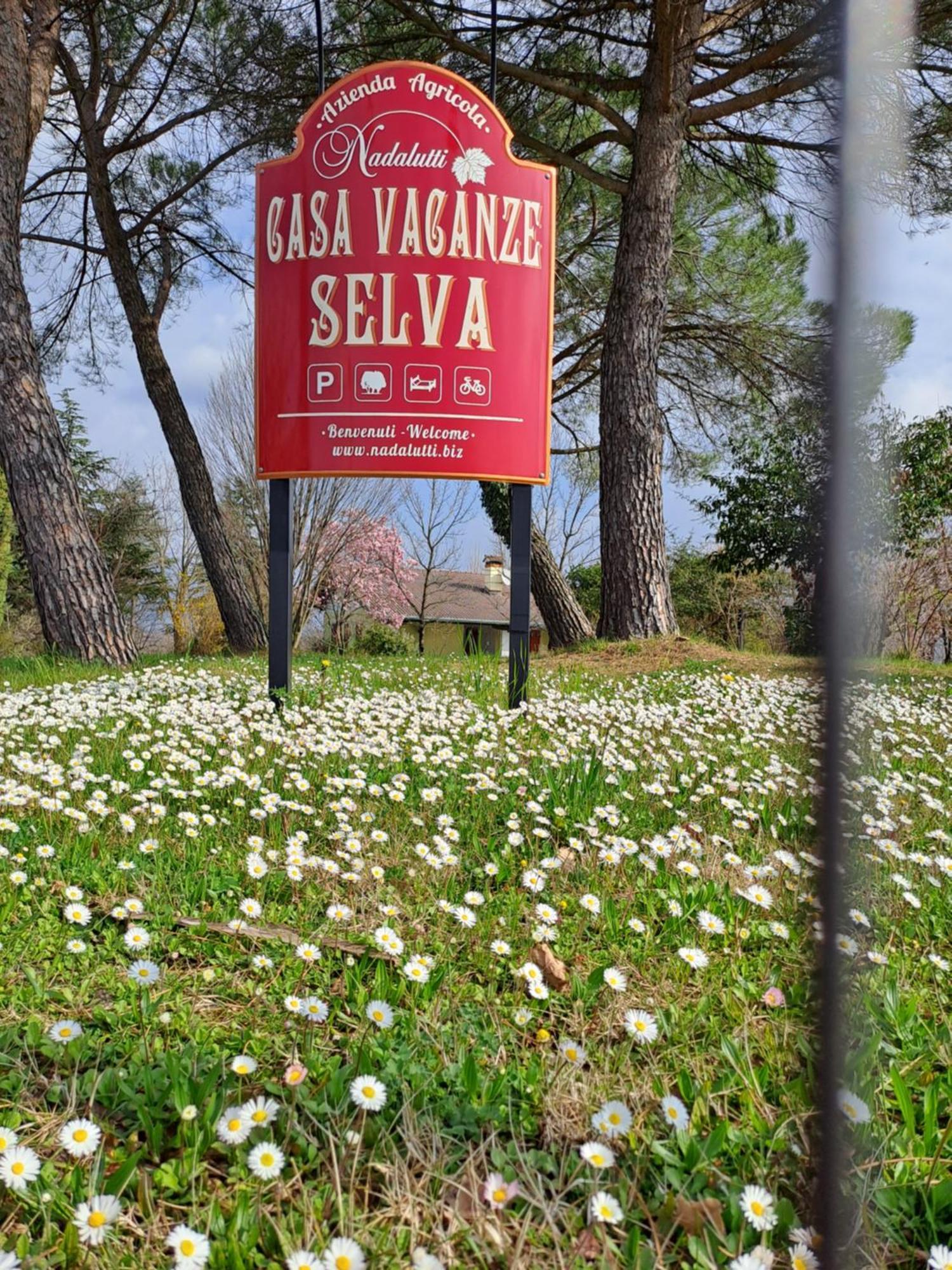 Casa Vacanze Selva Premariacco Kültér fotó