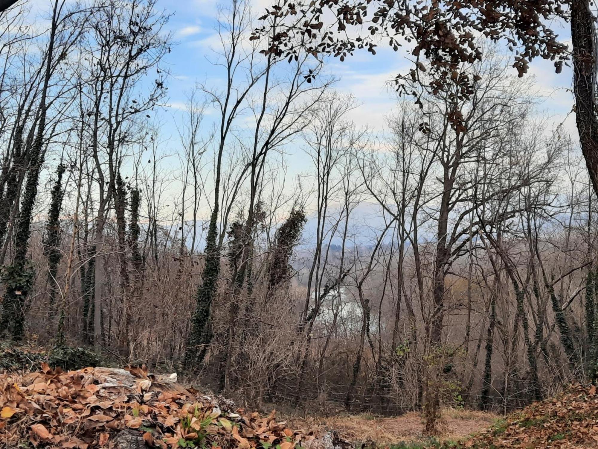 Casa Vacanze Selva Premariacco Kültér fotó